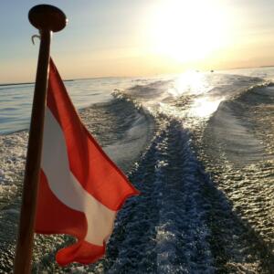 Termine 20220611 203523 03 300x300 - Termine