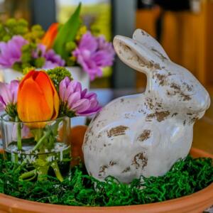 Termine Foto 2 e1650486327873 300x300 - Termine